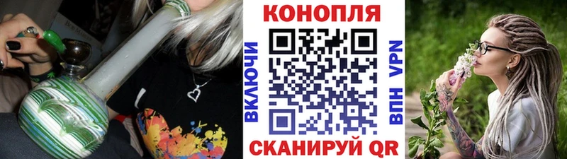 Бошки Шишки Amnesia  Щёлкино 